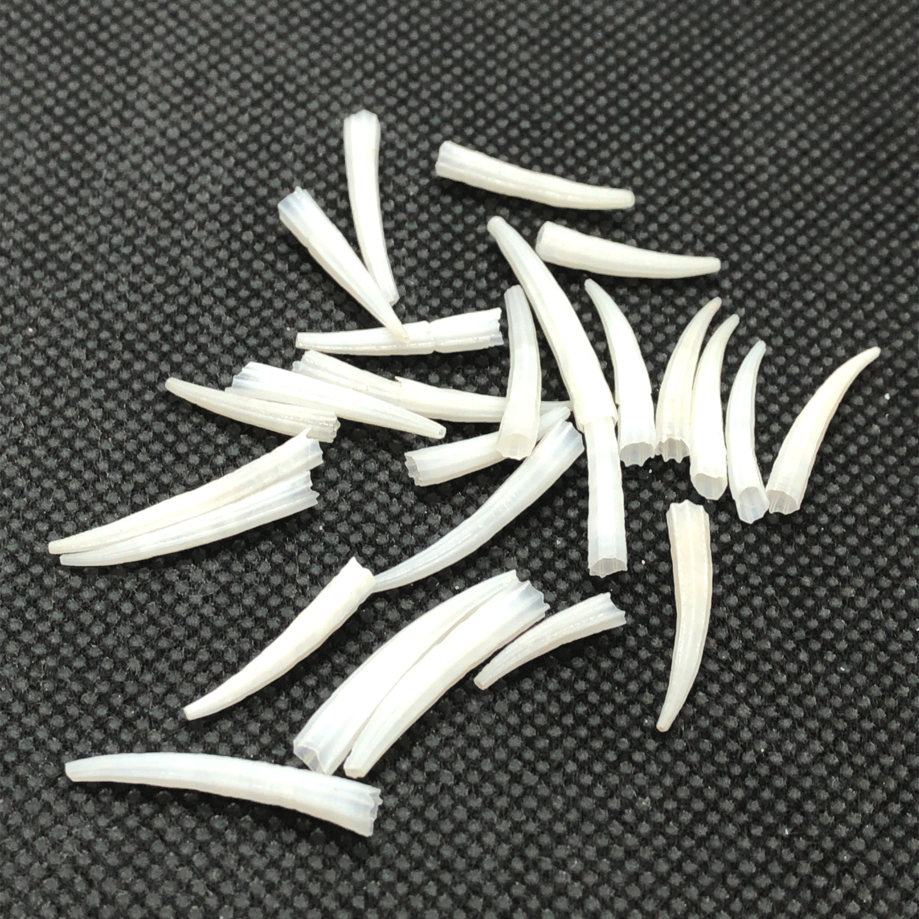 Natural Ridged Dentalium Beads - Sea Shell Tusk 1/2 to 1 Inch Mix ...